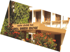 Department of Chemical Engineering